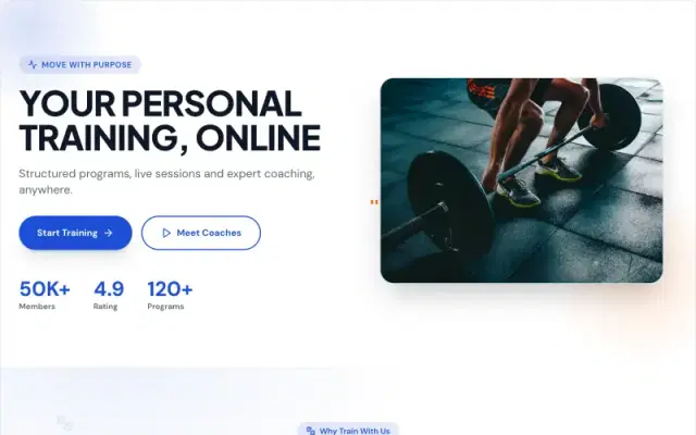 Fitness Pro academy design