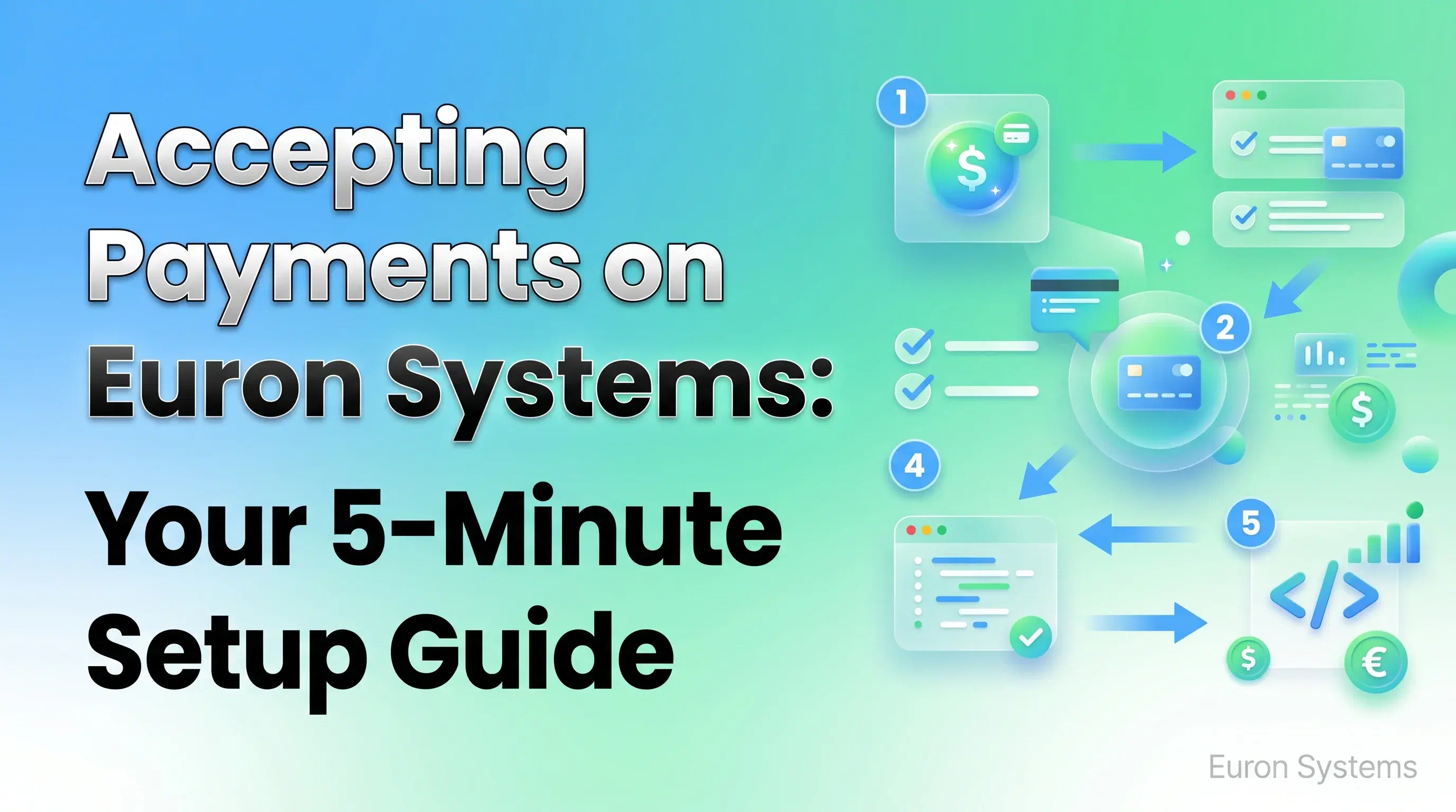 payment setup on Euron Systems showing integration and course selling with secure transactions